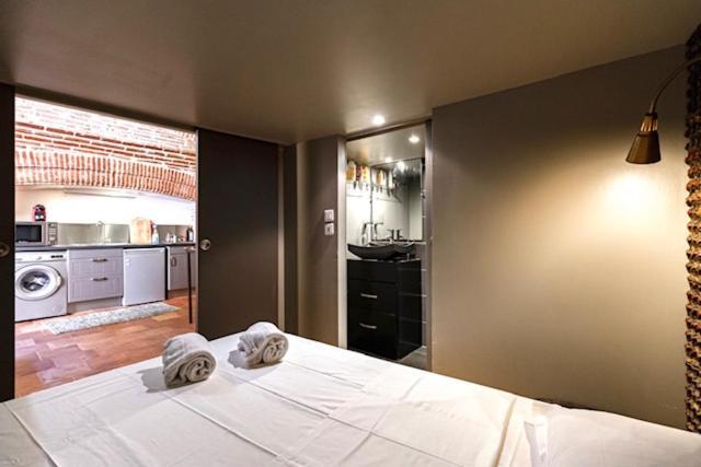 Duplex Climatise Dans Un Monument Historique Apartman Toulouse Kültér fotó
